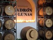 CATA DE VINOS EN BODEGAS «LADRÓN DE LUNAS»